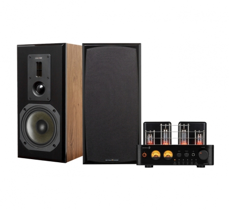 Dayton Audio HTA100 & Dynavoice DM-6II i eik, stereopakke i gruppen Pakkeløsninger / Pakker for hjemmet / Stereopakker hos BRL (SETHTA100PKT3)