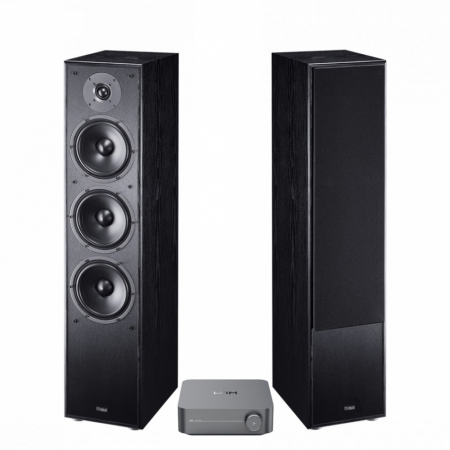 Wiim Amp & svarte Magnat MS70, 2.0 stereopakke i gruppen Pakkeløsninger / Pakker for hjemmet / Stereopakker hos BRL Electronics (SETMS70BPKT7)