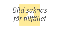Rattstyrningskablage Ford Ranger i gruppen Billyd / Hva passer i min bil / Ford / Ranger / Ranger 2006-2009 hos BRL (701CTSFO0132) Rattstyrningskablage Ford Ranger i gruppen Billyd / Hva passer i min bil / Ford / Ranger / Ranger 2006-2009 hos BRL (701CTSFO0132)