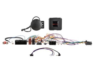 SWC-kabling Ford forskjellige kjøretøy 24-pin