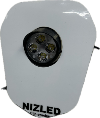 Singelljus kallvit 50w Triumph 2024-, vit dekal, 1xE406k NIZLED