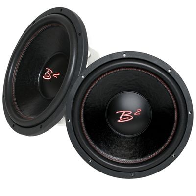 2-pakk B2 AUDIO RIOT D4 12tommer