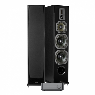 WiiM Amp Pro & Dynavoice Definition DF-8, kraftig 2.0 stereopakke