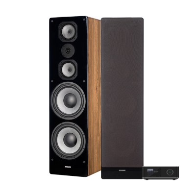 Wiim Amp Ultra med Dynavoice Challenger M-105 EX v4 i eik, 2.0 stereopakke