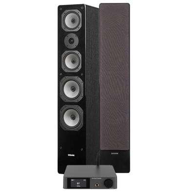 Dynavoice CA802BT & Challenger M-65, stereopakke