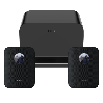 2-pakning WiiM Sound med WiM Sub Pro, svart