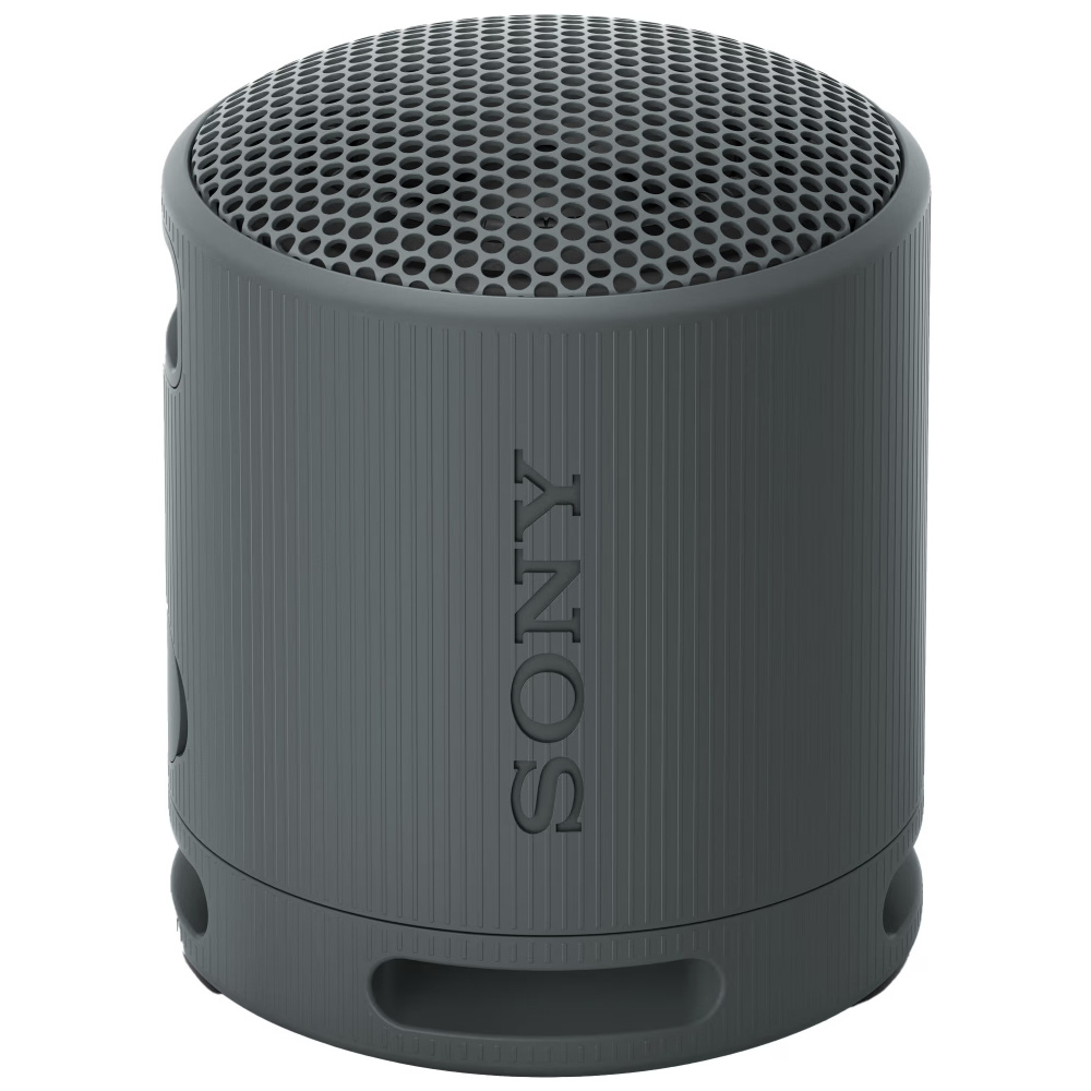 Sony SRS-XB100, bærbar høyttaler, svart