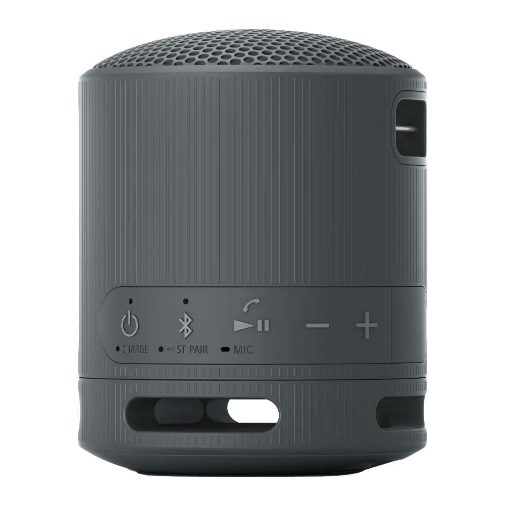 Sony SRS-XB100, bærbar høyttaler, svart