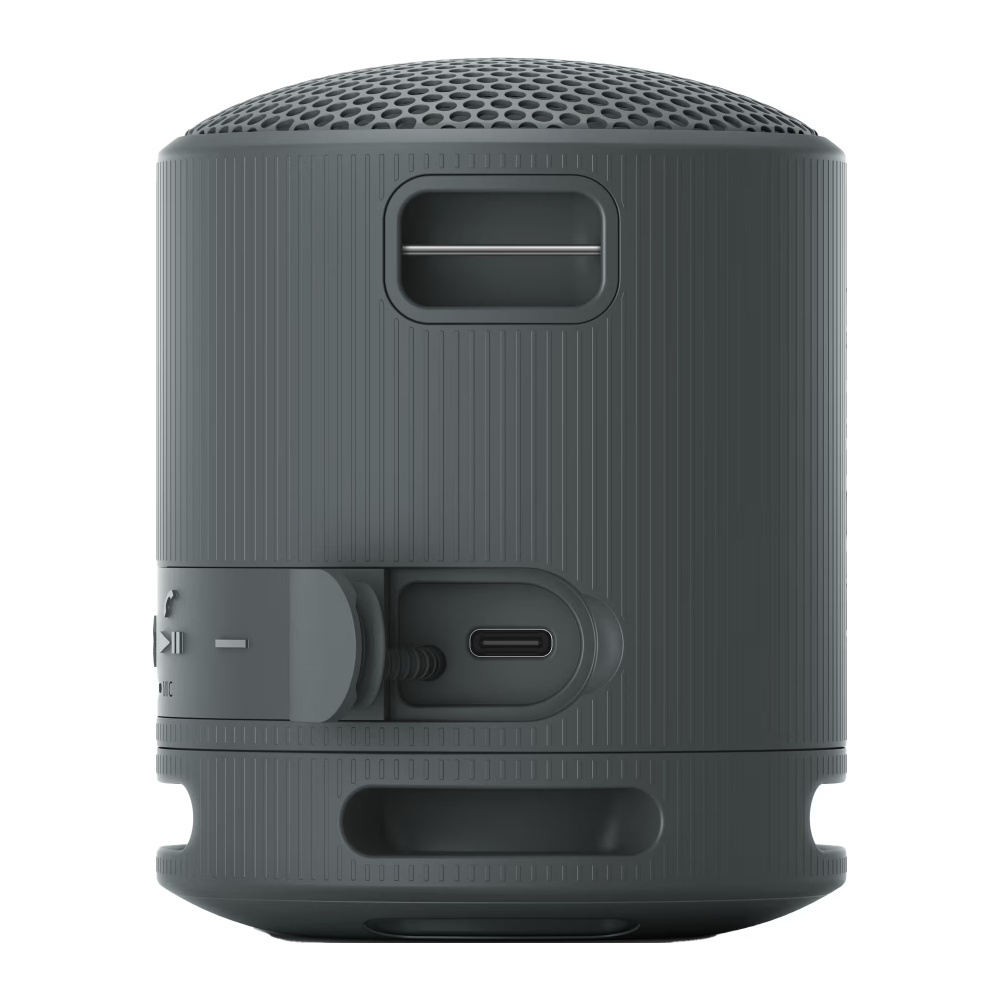 Sony SRS-XB100, bærbar høyttaler, svart