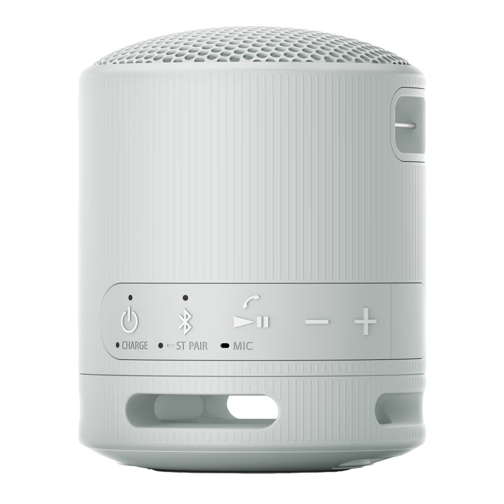 Sony SRS-XB100, bærbar høyttaler, grå