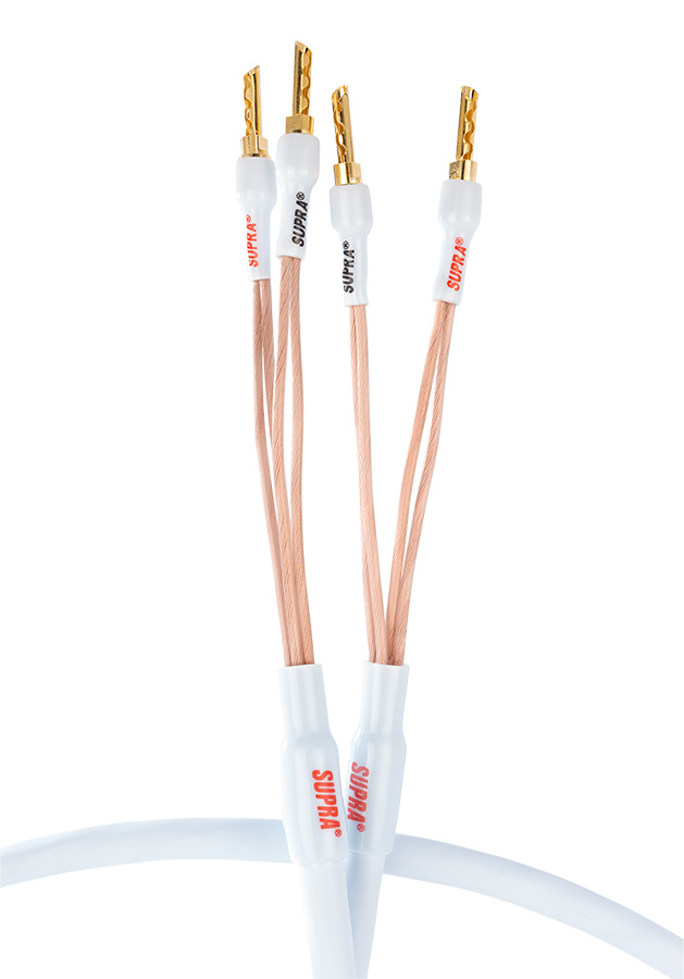 Supra XL Annorum Single-Wire