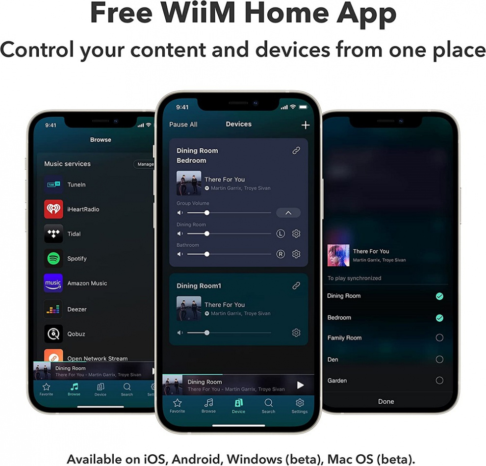 WiiM Pro, trådløs nettverksstrømmer med Tidal Connect, Chromecast & AirPlay 2