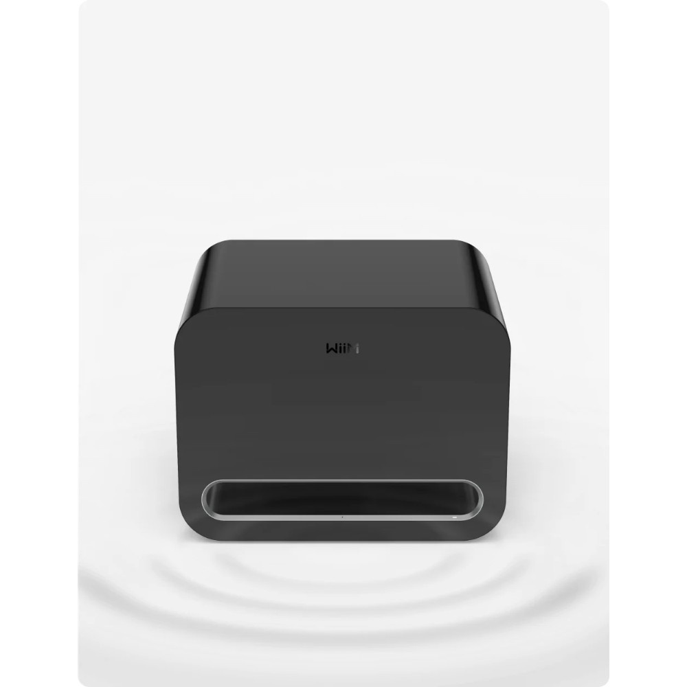 WiiM Sub Pro kompakt trådløs subwoofer, svart