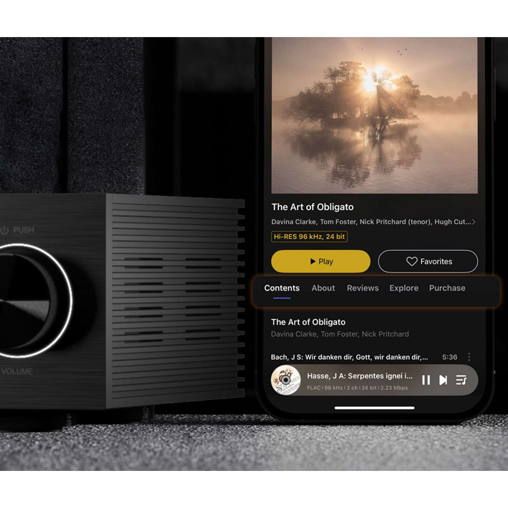 Eversolo DMP-A6 Gen 2 nettverksspiller, svart