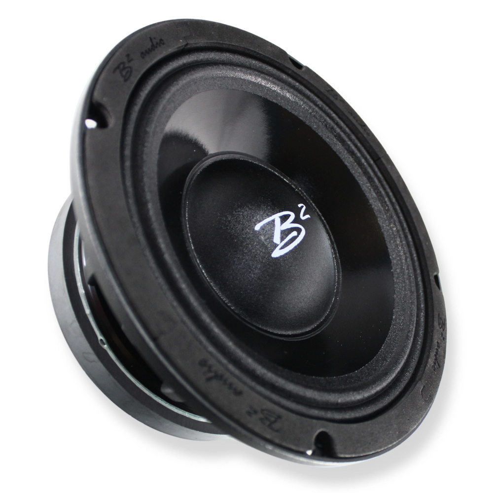 B² Audio RAGE 8PWR 8 tum midbas, par