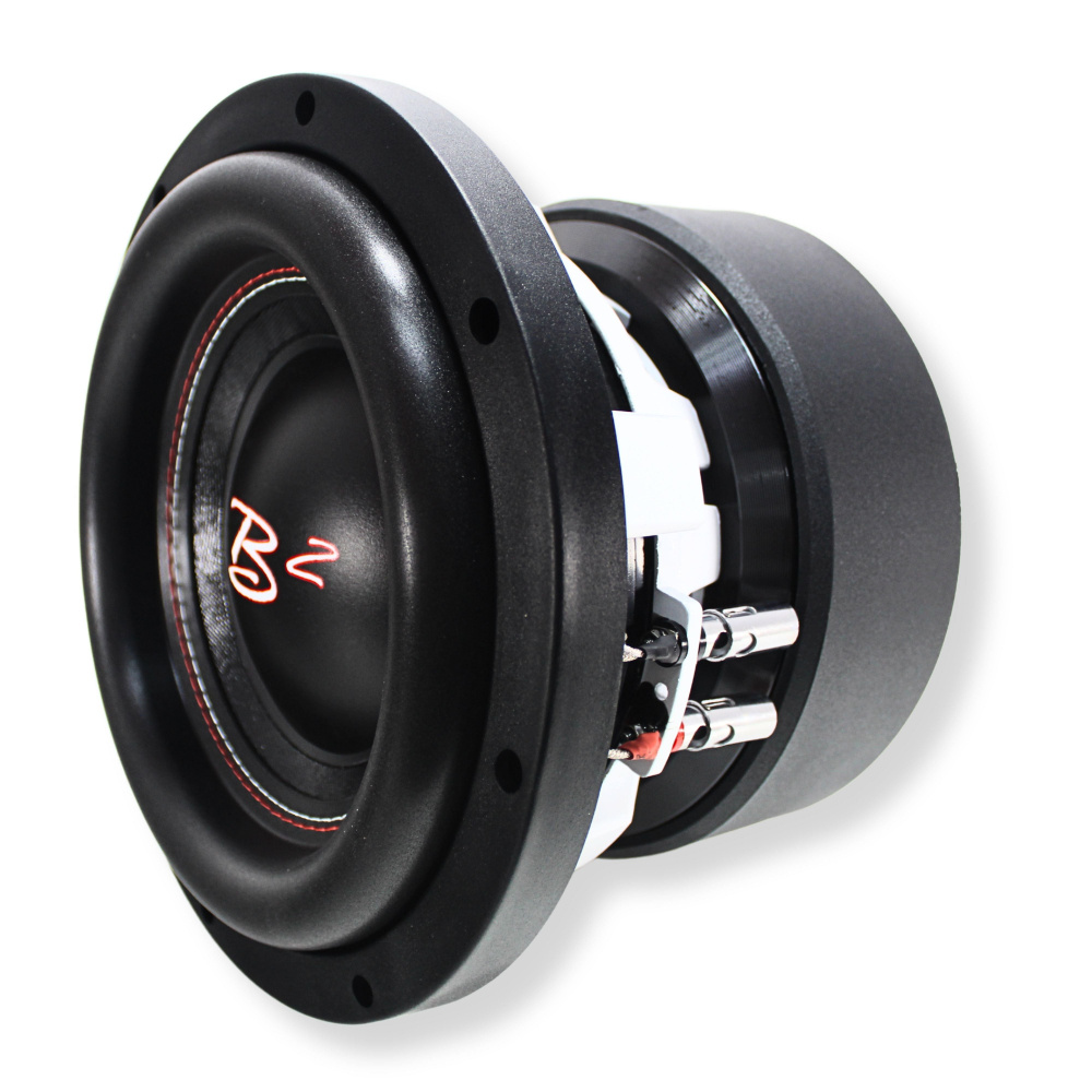 B² Audio RAGE XL10D2, 10