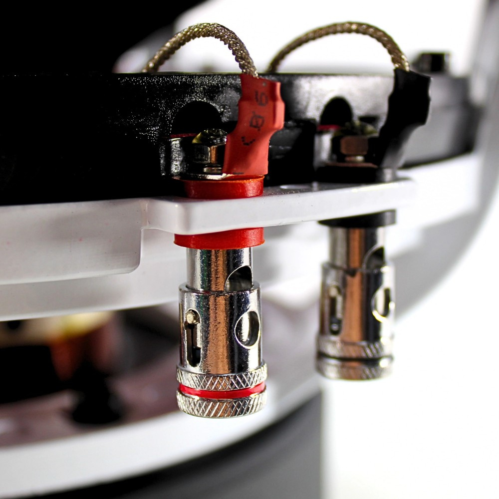 B2 Audio RIOT 12 D2 V3, 2x2  Ohm 12-tommers basselement