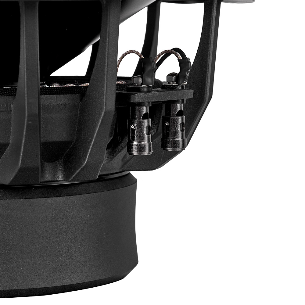 DLS Reference Supreme RSW10.D2, fantastisk 10 tommers bass