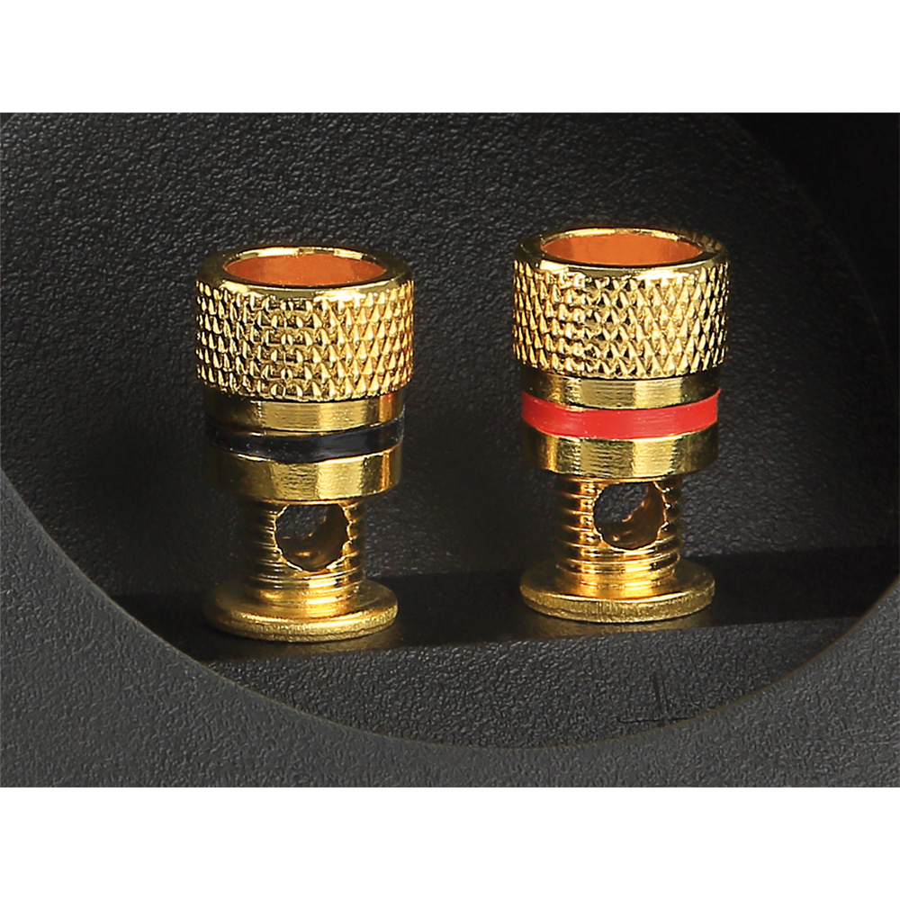 ACV högtalarterminal