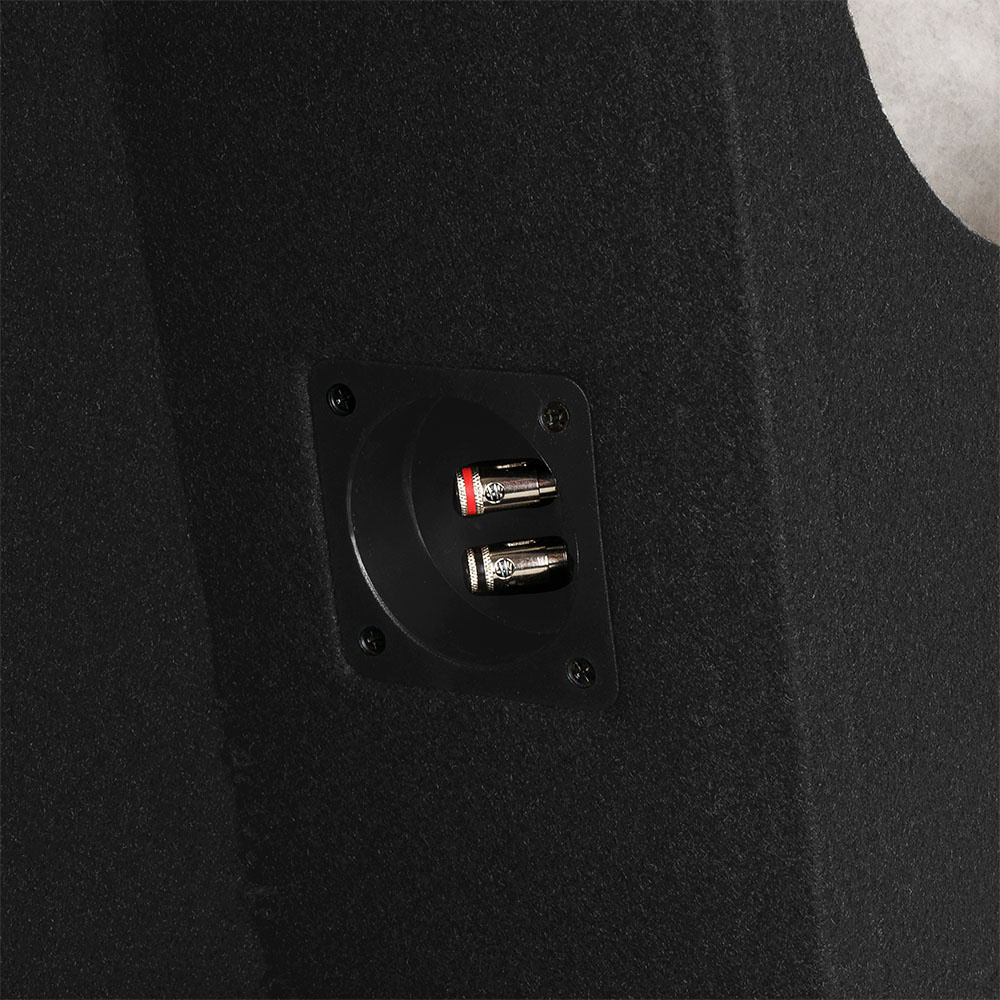 Lukkede basskasse for reservehjul med oppbevaring, 1x10 tommer