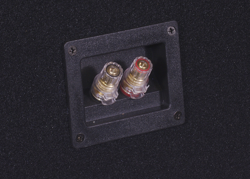 Auto-Connect 2x12 forsterket tom basskasse