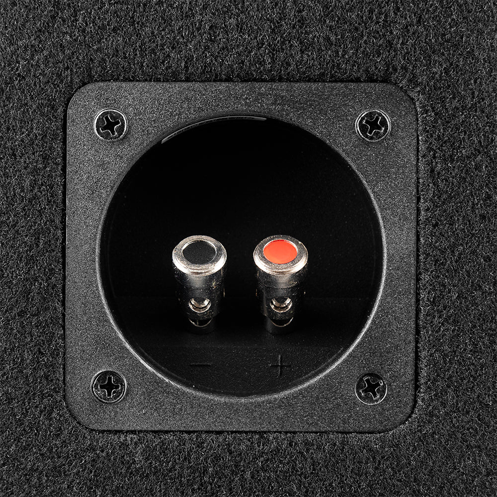 DS18 GEN-X210LD, portet 2x10 tommers basskasse