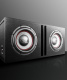 DS18 GEN-X210LD, portet 2x10 tommers basskasse DS18 GEN-X210LD, portet 2x10 tommers basskasse