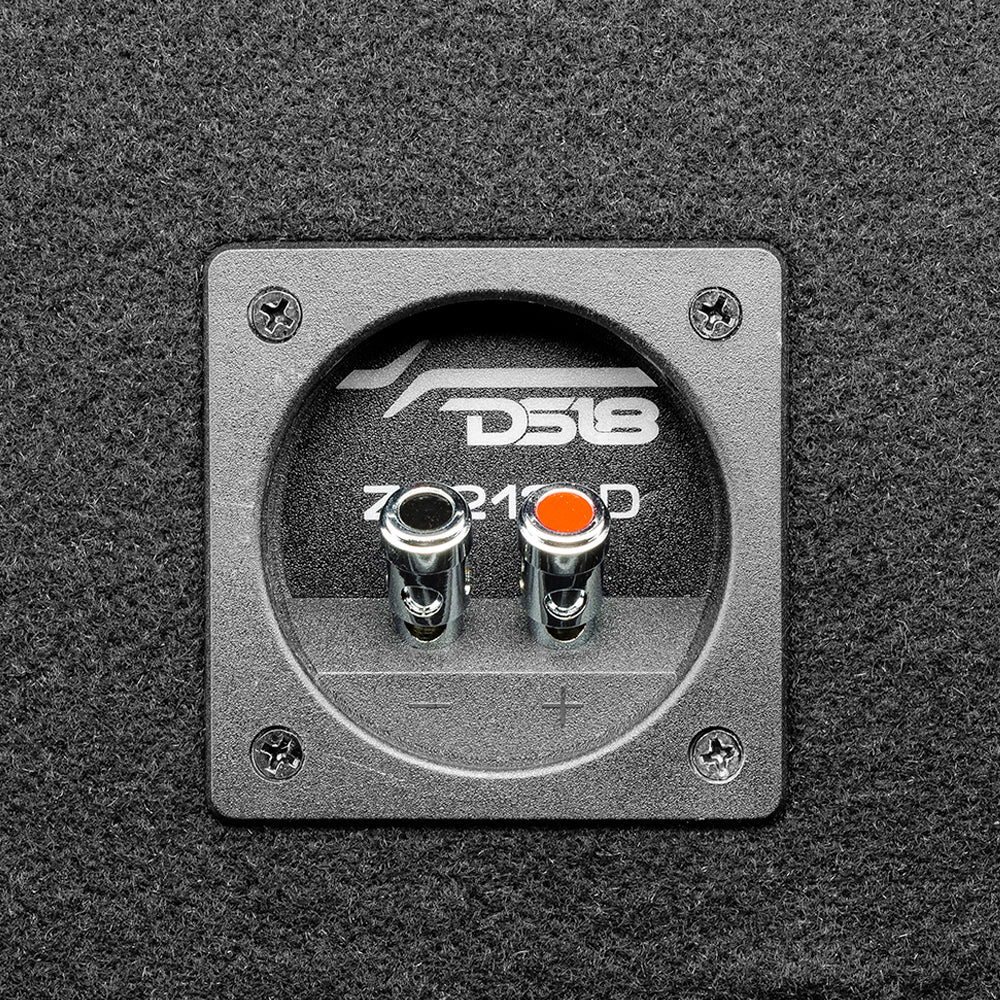 DS18 ZR212LD, portet 2x12 tommers basskasse