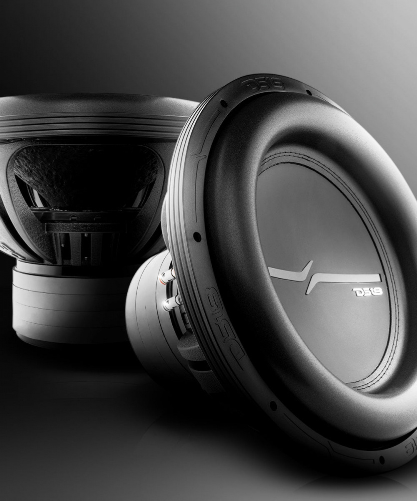 DS18 ZXI15.2D, langslagende 15 tommers basselement