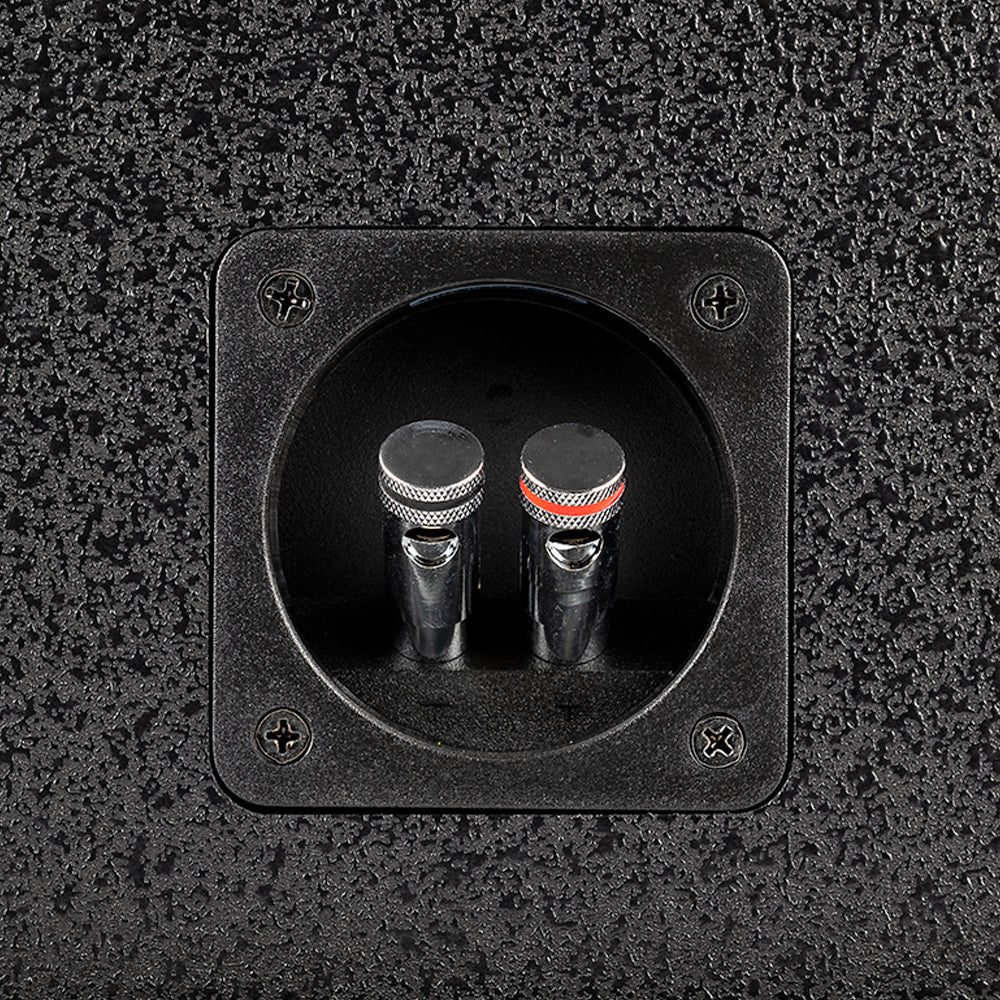 DS18 ZXI-212LD.RG, tung portet 2x12 tommers basskasse