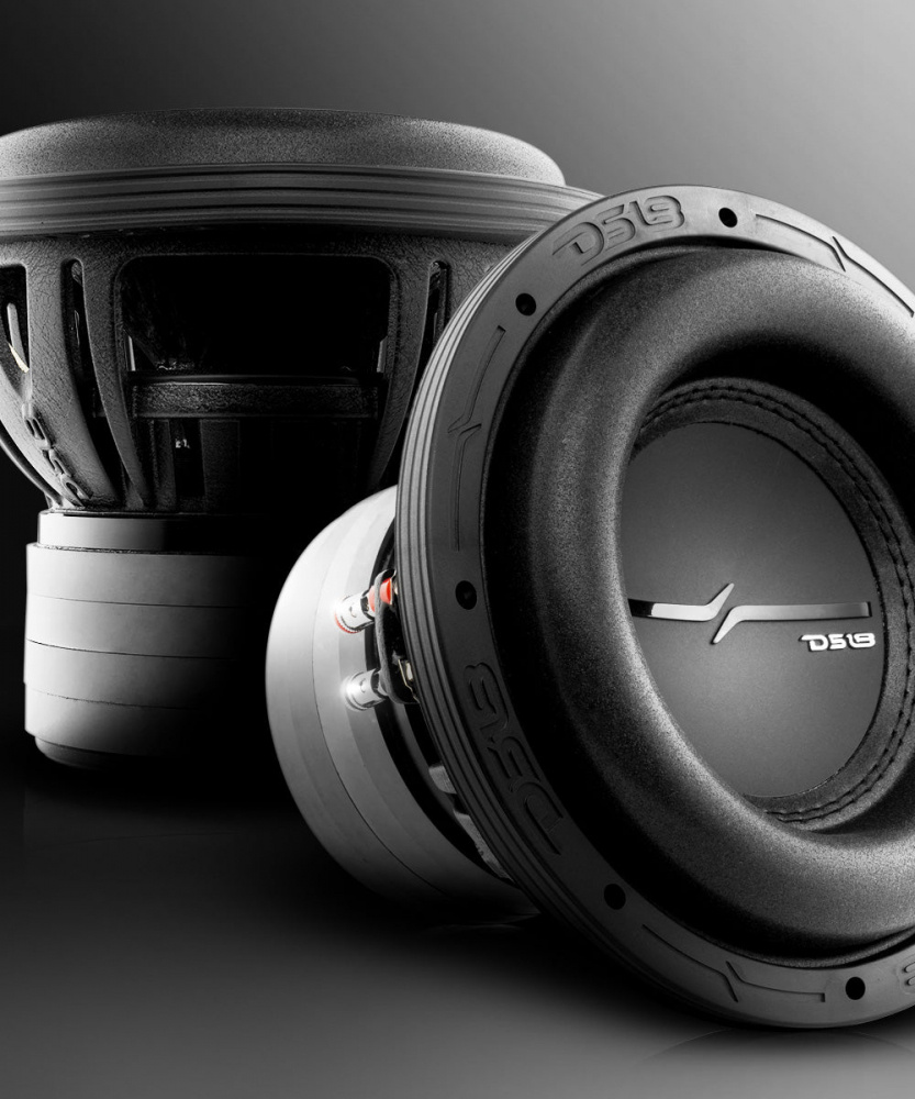 DS18 ZXI8.2D, langslag 8 tommers basselement