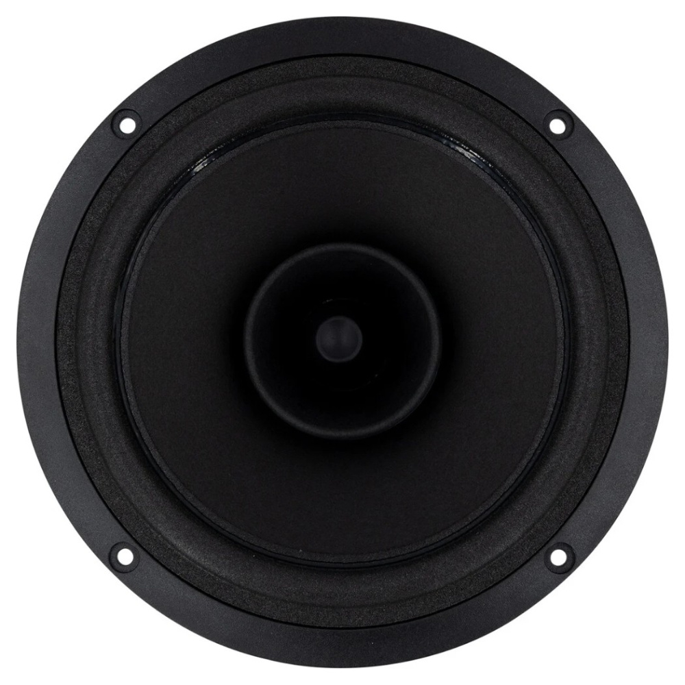 SB Acoustics SB16FRPC25-7, 6 tommers fullregister