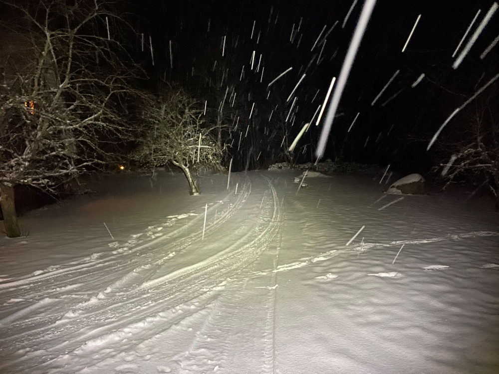 Nizled LED Hodelykt/Lommelykt, 10W