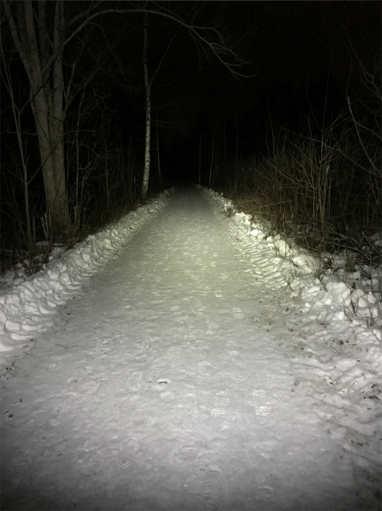 Nizled LED Hodelykt/Lommelykt, 10W