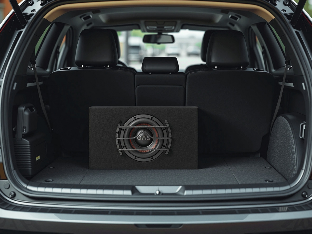 GAS MAX B1-18E, virkelig tung 1x8 tommers basskasse