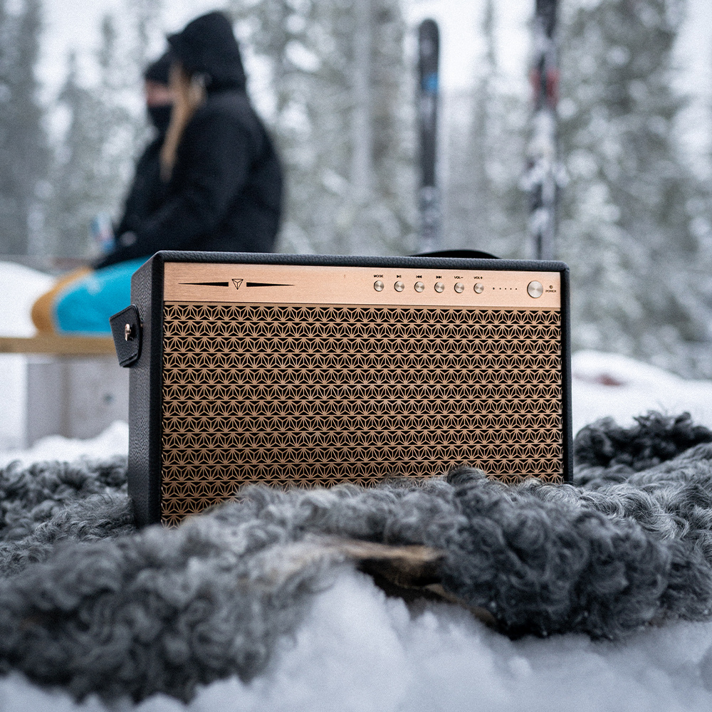 Dynavoice Classic CL-15A, Bluetooth høyttaler