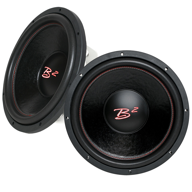 2-pakk B2 AUDIO RIOT D2 12tommer