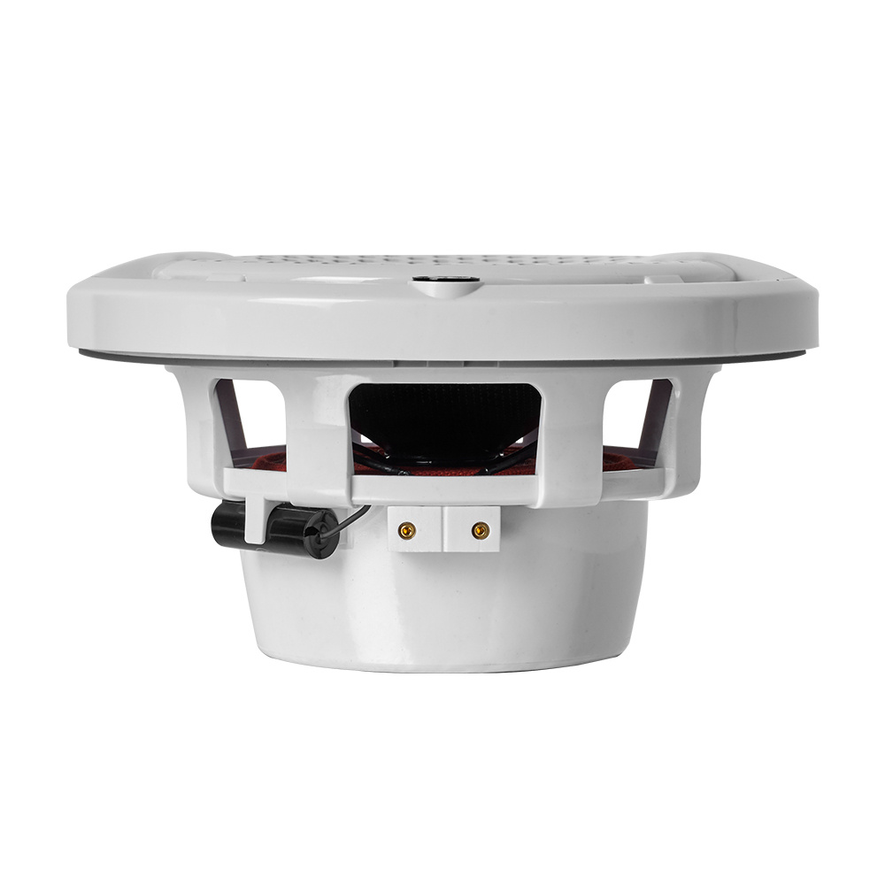 DLS Alive AMR30D med A6XW, marinpakke