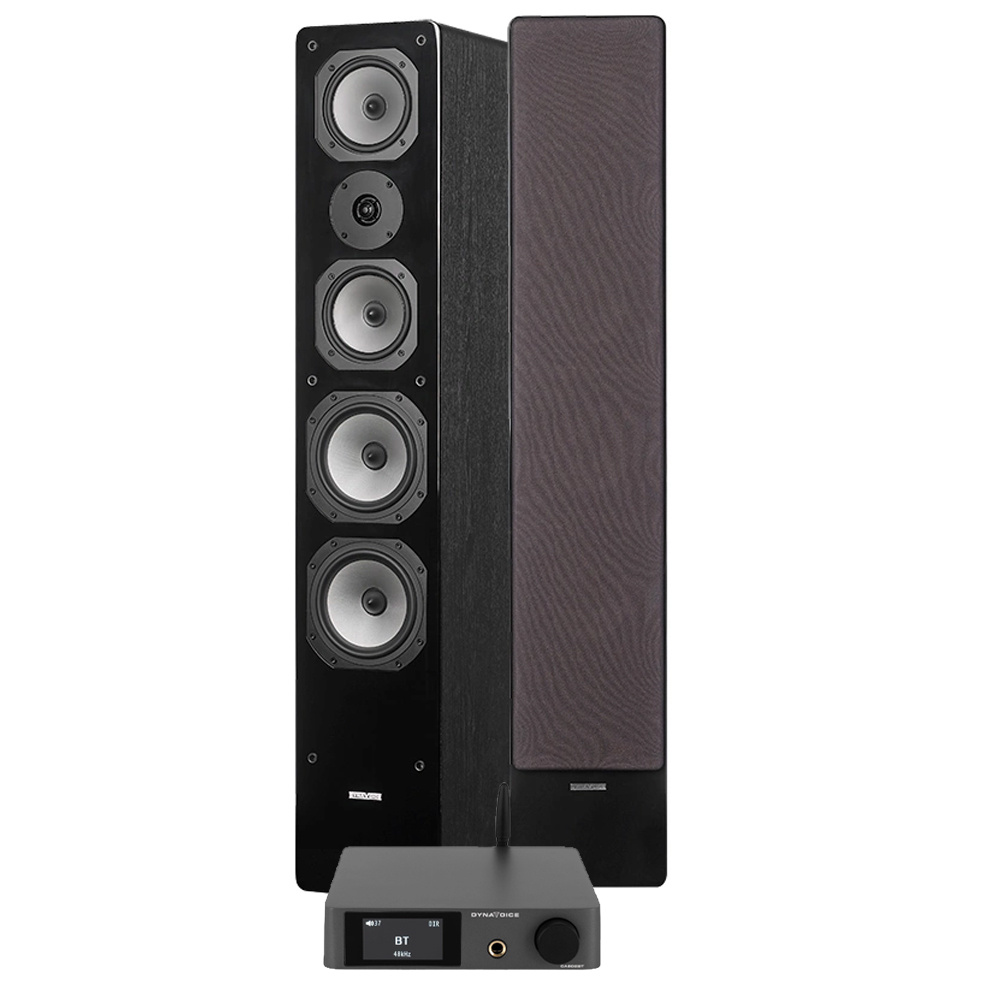 Dynavoice CA802BT & Challenger M-65, stereopakke