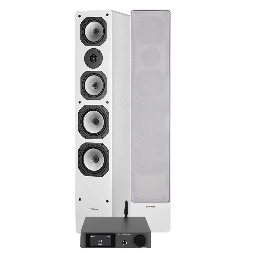 Dynavoice CA802BT & Challenger M-65, stereopakke