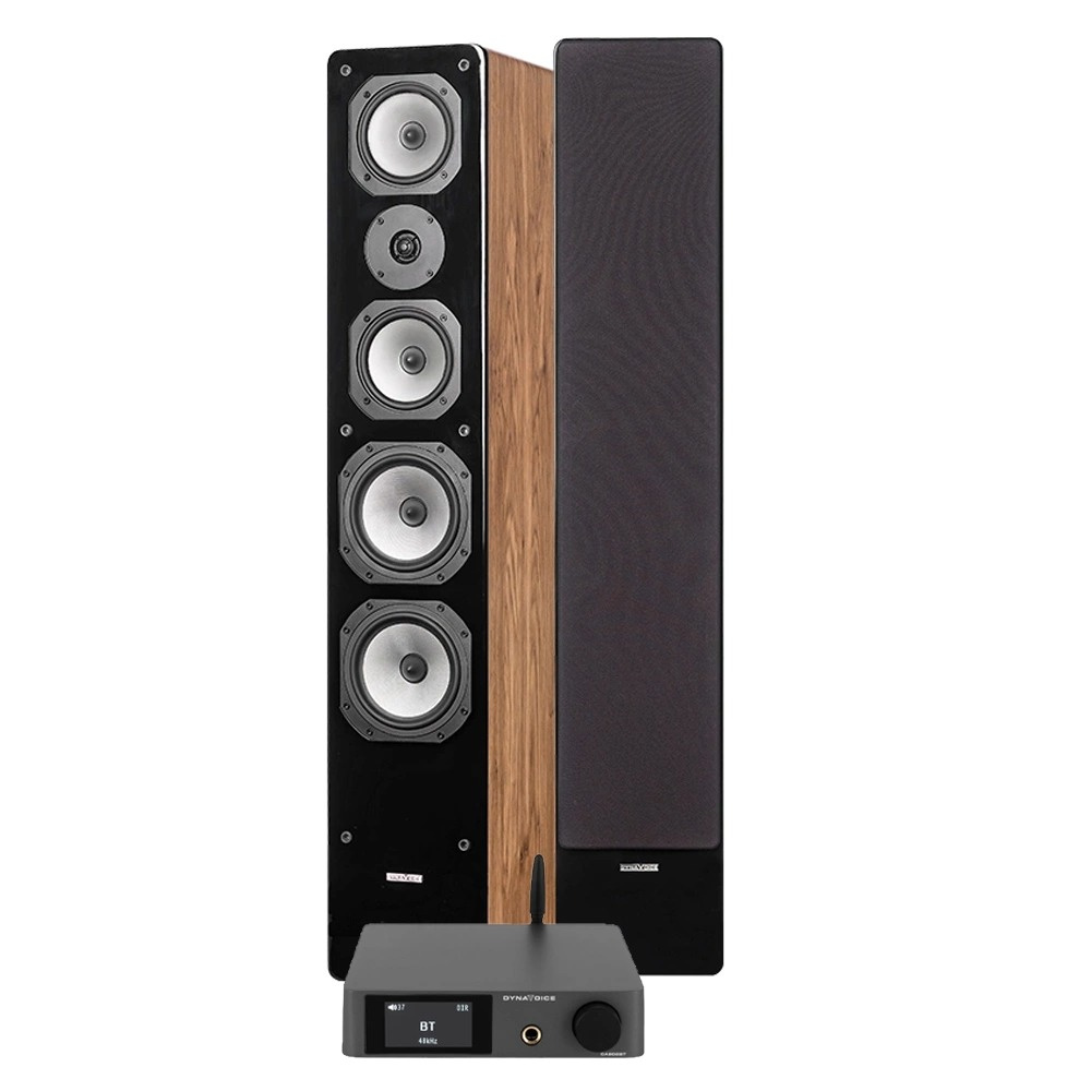 Dynavoice CA802BT & Challenger M-65, stereopakke