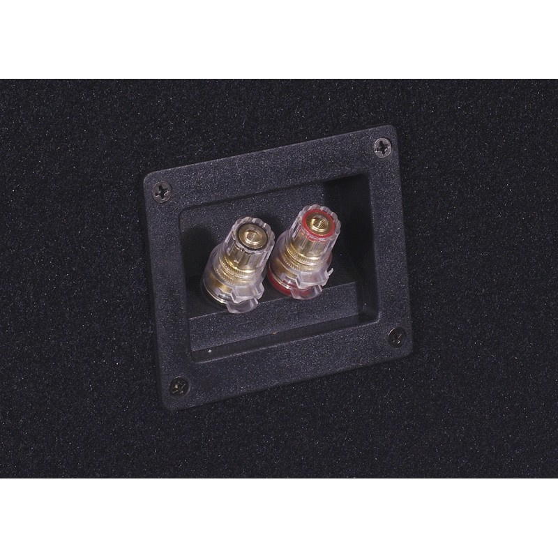 Bass Habit E300D2 i portet kasse med SP31001FR, 2x12-basspakke