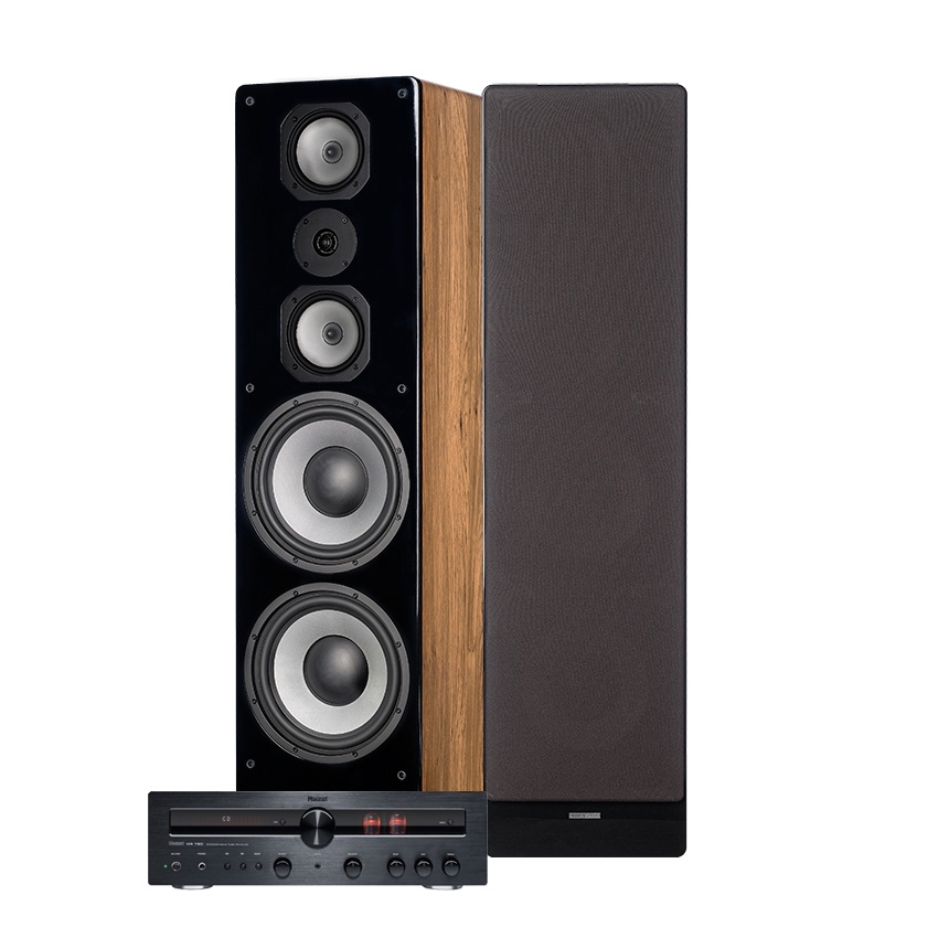 Magnat MR780 & Dynavoice Challenger M-105 EX v4 Ek gulvstående høyttalere