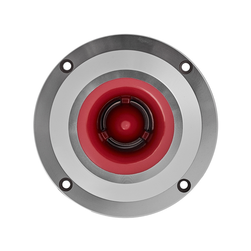 Bass Habit PL212A med Rebel-raggarplanke og forsterker