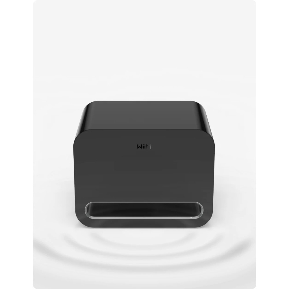 2-pakning WiiM Sub Pro kompakt trådløs subwoofer, svart